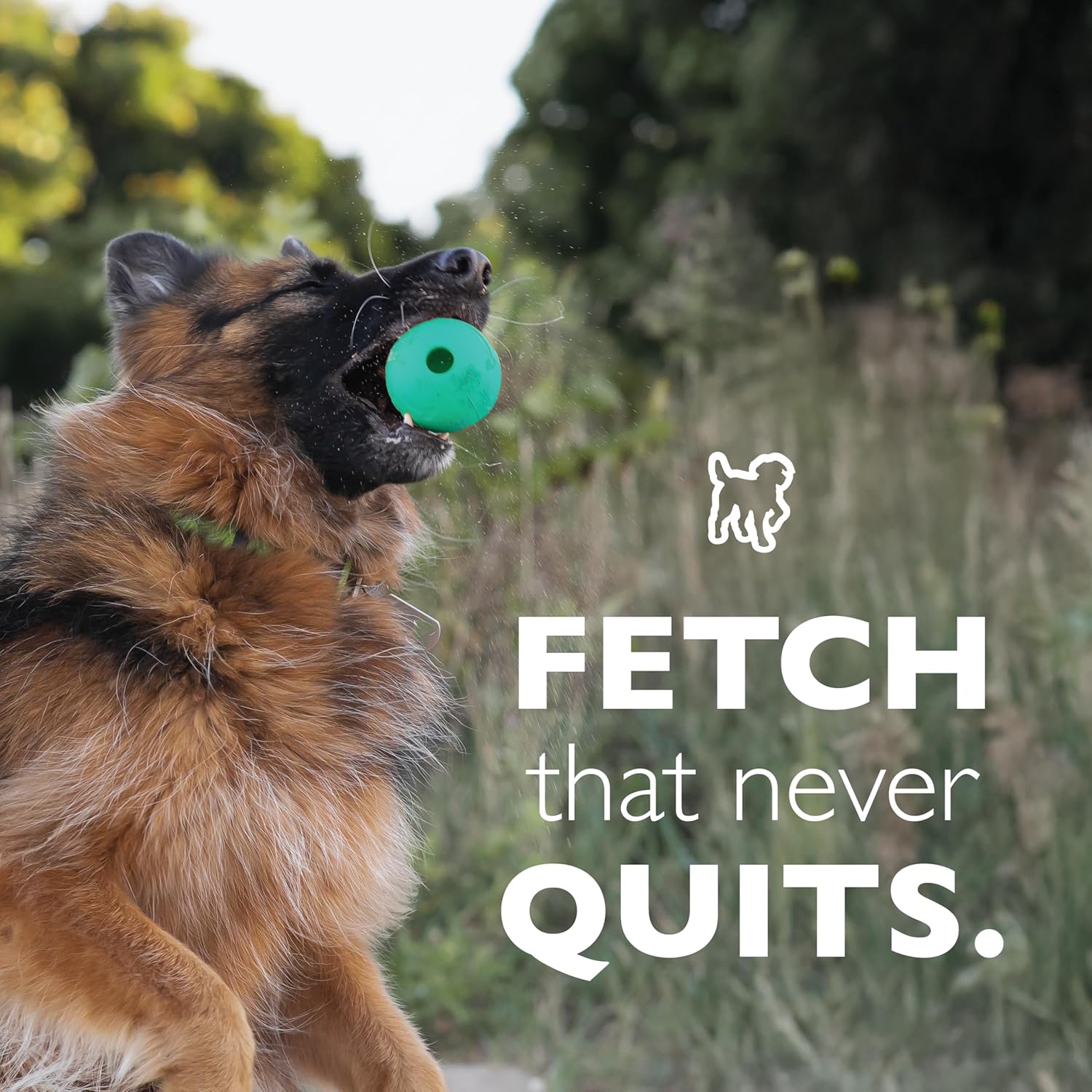 Natural rubber fetch balls for active dog exercise