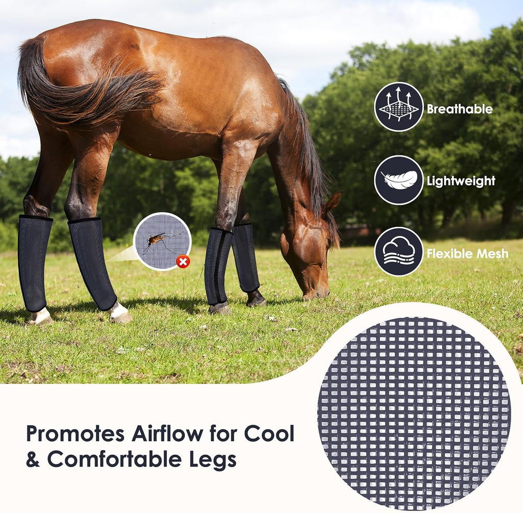 Medium to large size TAILNERY fly boots on a horse in a pasture