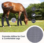 Medium to large size TAILNERY fly boots on a horse in a pasture