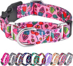 Martingale Collar for Dogs, Adjustable Soft Nylon Dog Collars with Special Design Cute Patterns for Small Medium Large Dog - Image 9