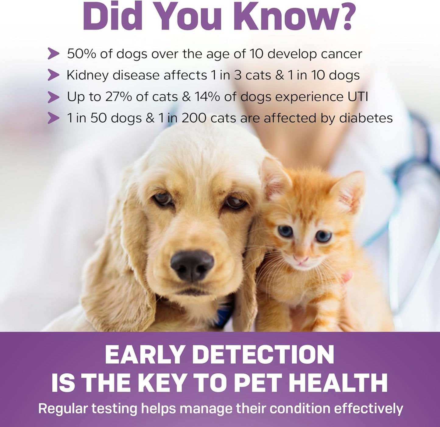 Five count pet urine testing kit for home veterinary health screening.