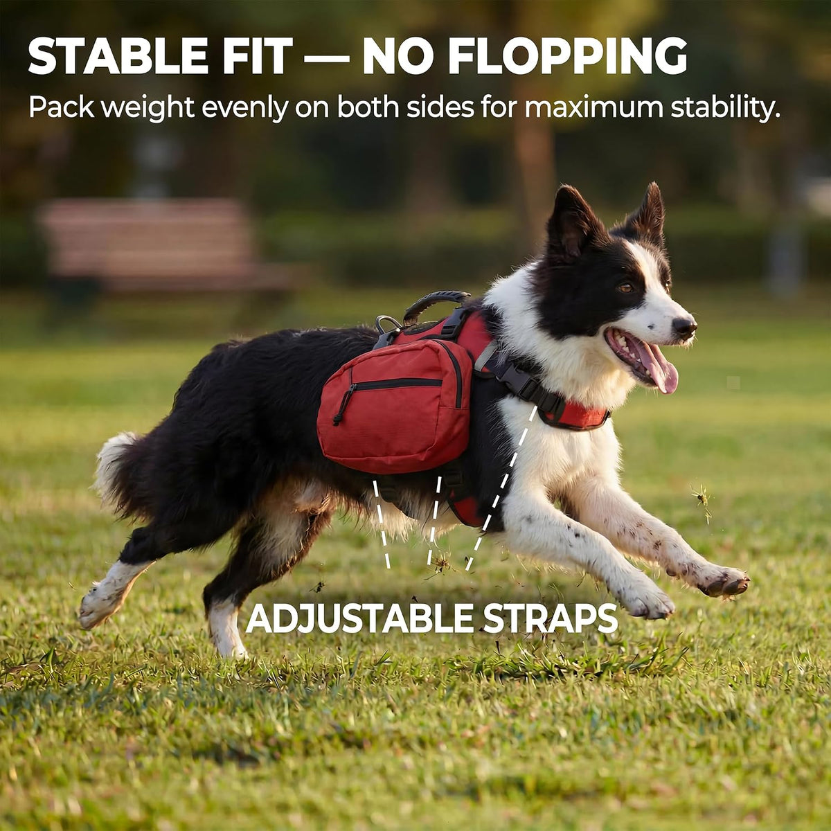 SKIPGEAR pet harness vest back view detailing the zinc alloy D-ring leash attachment