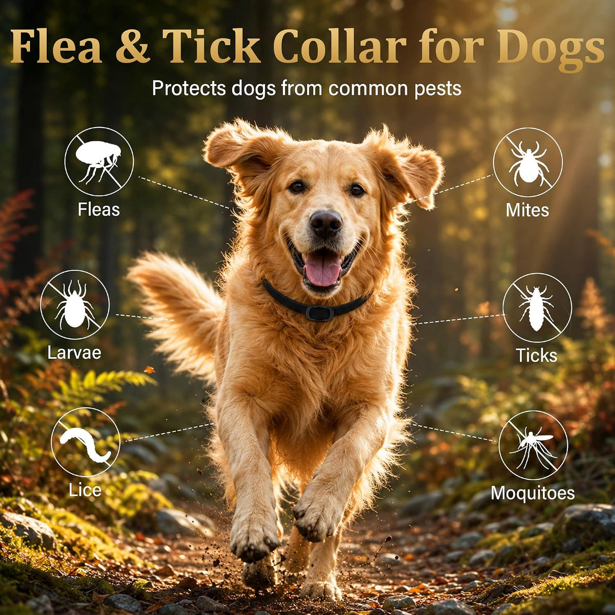 Crobirware dog flea collar natural essential oil pack