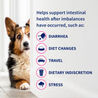 Nutramax Laboratories daily digestive support chewable tablets for dogs.