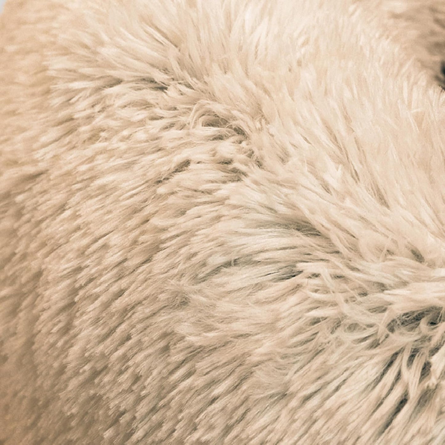 Best Friends by Sheri The Original Calming Donut Dog Bed for Small Dogs up to 25 lbs, Shag Faux Fur, Taupe, 23" x 23" - Image 10