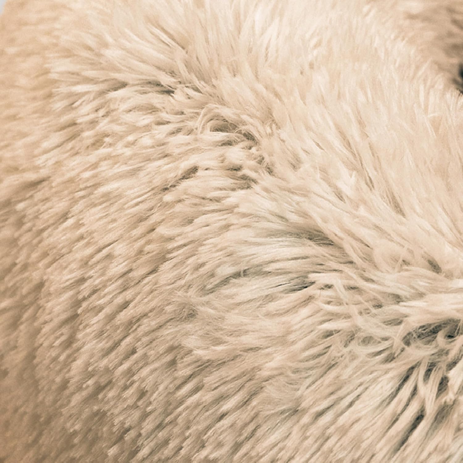 Best Friends by Sheri The Original Calming Donut Dog Bed for Small Dogs up to 25 lbs, Shag Faux Fur, Taupe, 23" x 23" - Image 10