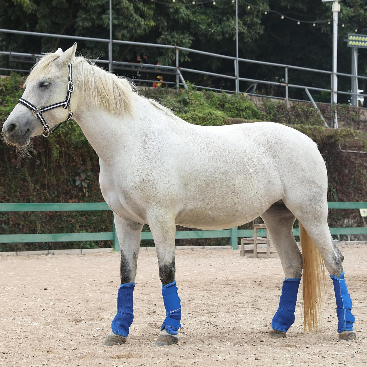 LEAFOREST equine leg wraps close up view highlighting heavy duty non slip fasteners.