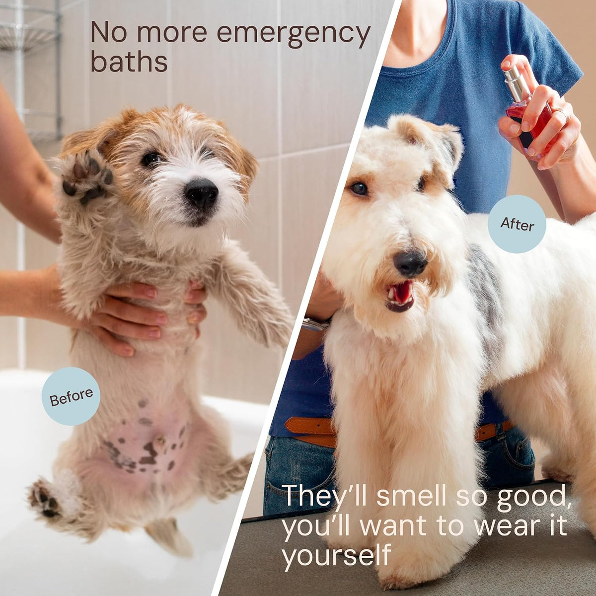 Sulfate free and paraben free dog grooming spray application.