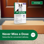 Advantage Topical Cat Flea Treatment and Prevention for Large Cats Over 9 lbs. | Apply Flea Drops Monthly | 2 Treatments - Image 9