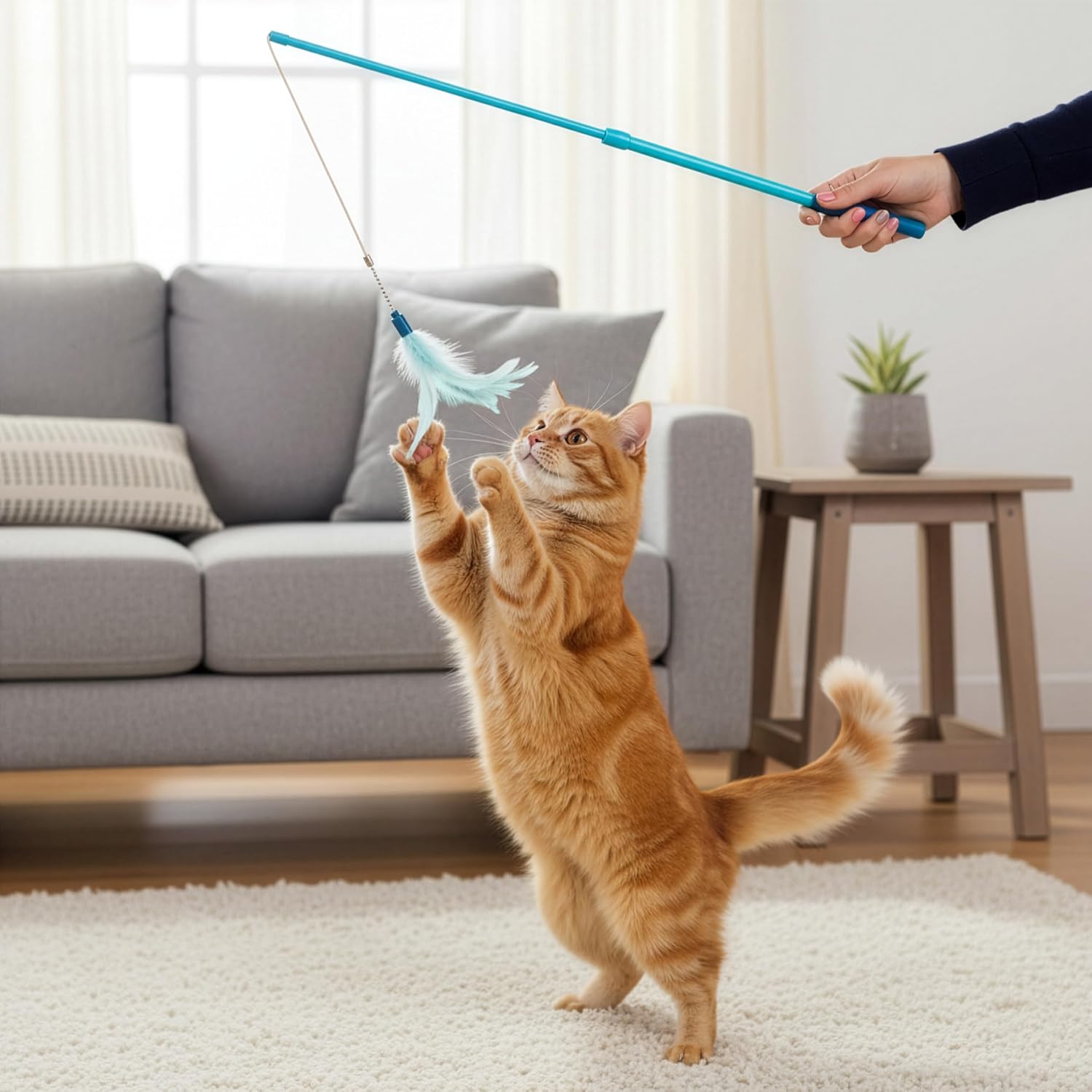 Feline exercise and interactive play session using SmartyKat bird flyer wand
