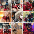 Red and black buffalo plaid dog sweater with hoodie showing the back kangaroo pocket