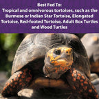 Mazuri tortoise food pellets close up view