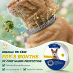 Close up of plant based flea collar material