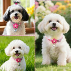 Matching pink floral leash attached to the heavy duty metal ring of the small pet collar