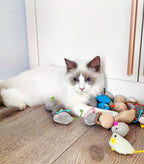 Fashion's Talk catnip stuffed plush mice with string tails