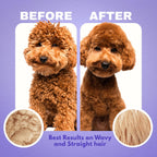 Goldendoodle puppy being groomed with natural detangling mist