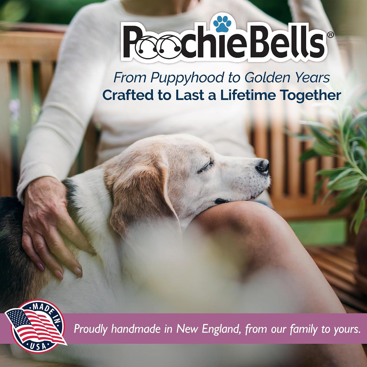 Puppy ringing PoochieBells for potty training