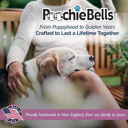 Puppy ringing PoochieBells for potty training
