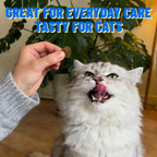 Close-up of nutritional label and ingredients on Just Try cat bites.