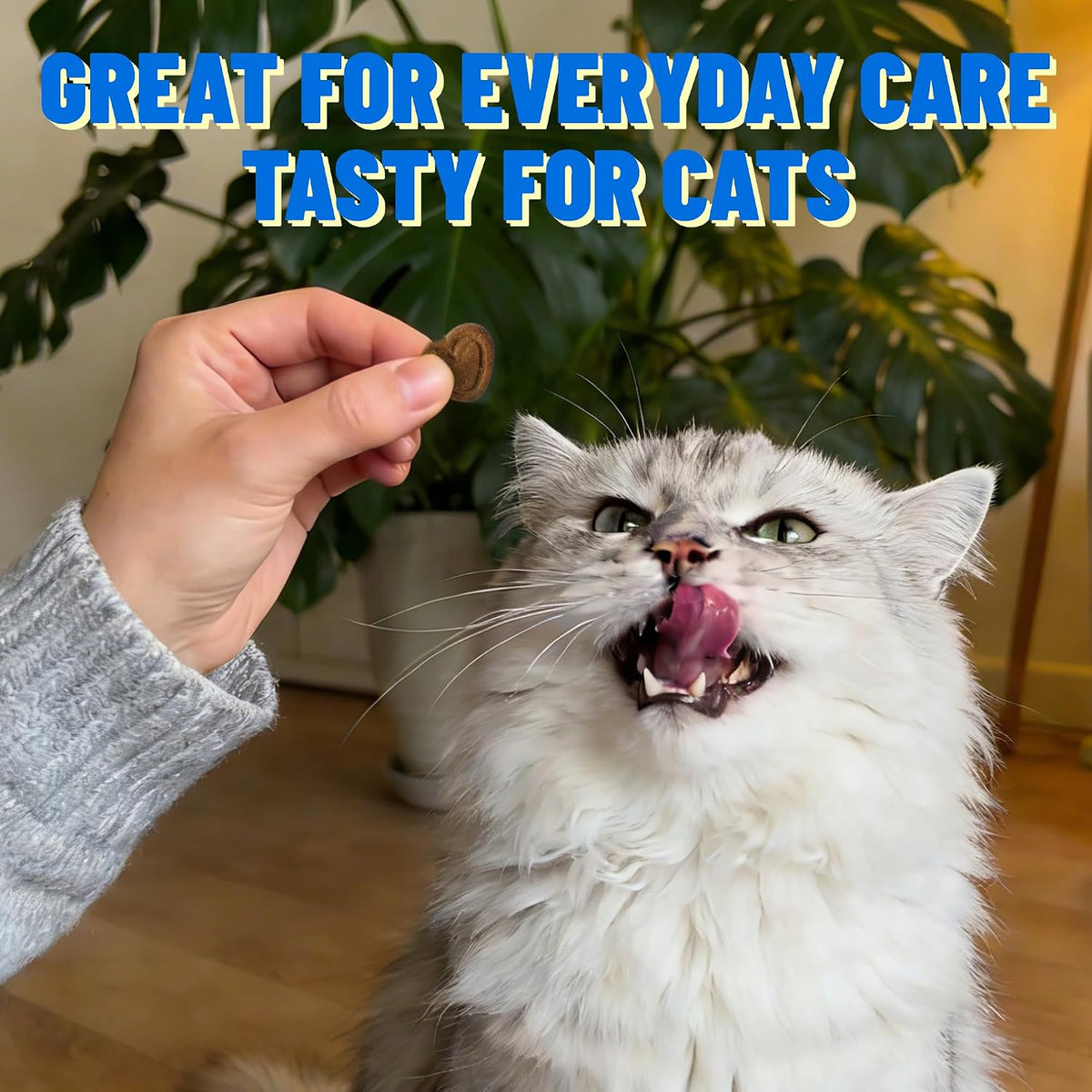 Close-up of nutritional label and ingredients on Just Try cat bites.
