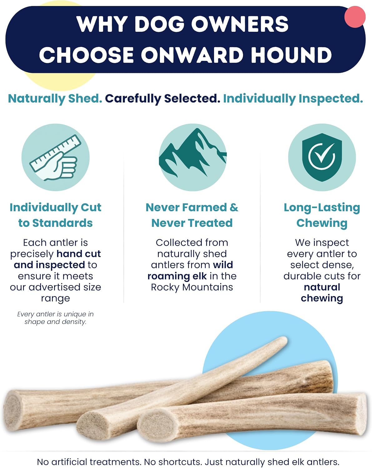 USA sourced natural elk antler for healthy teeth