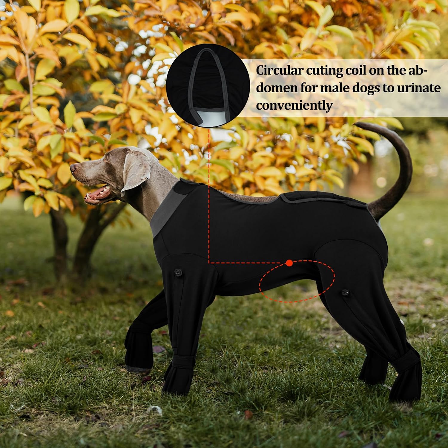 Rozkitch professional anti shedding dog body suit in black medium size