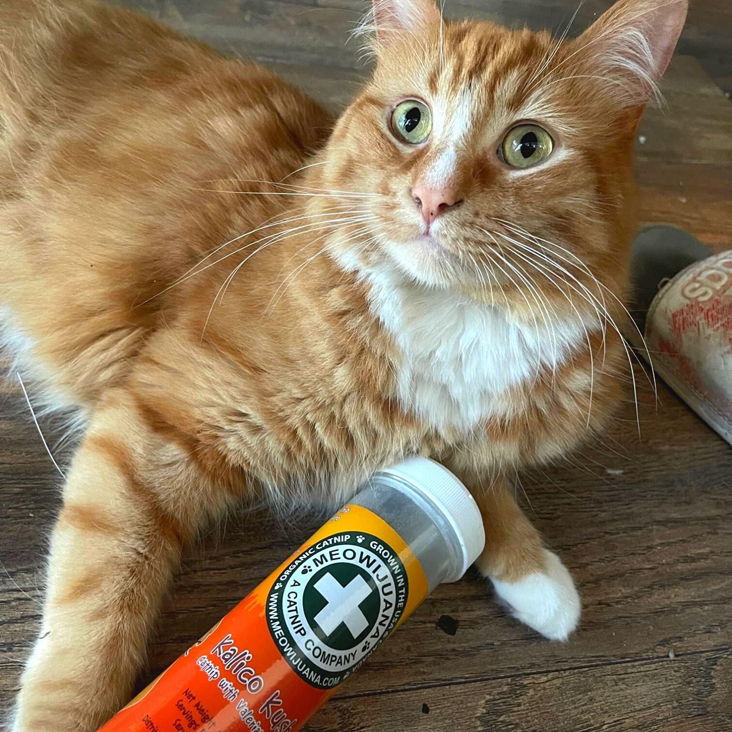 Safe non toxic multi herb cat treats bottle collection
