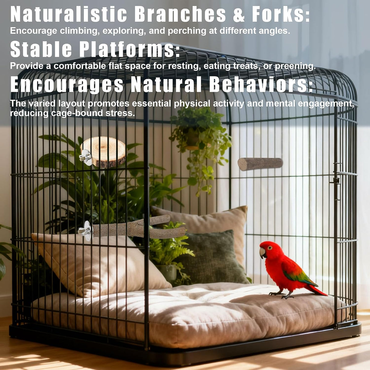 6 PCS Bird Perch Set - Image 4