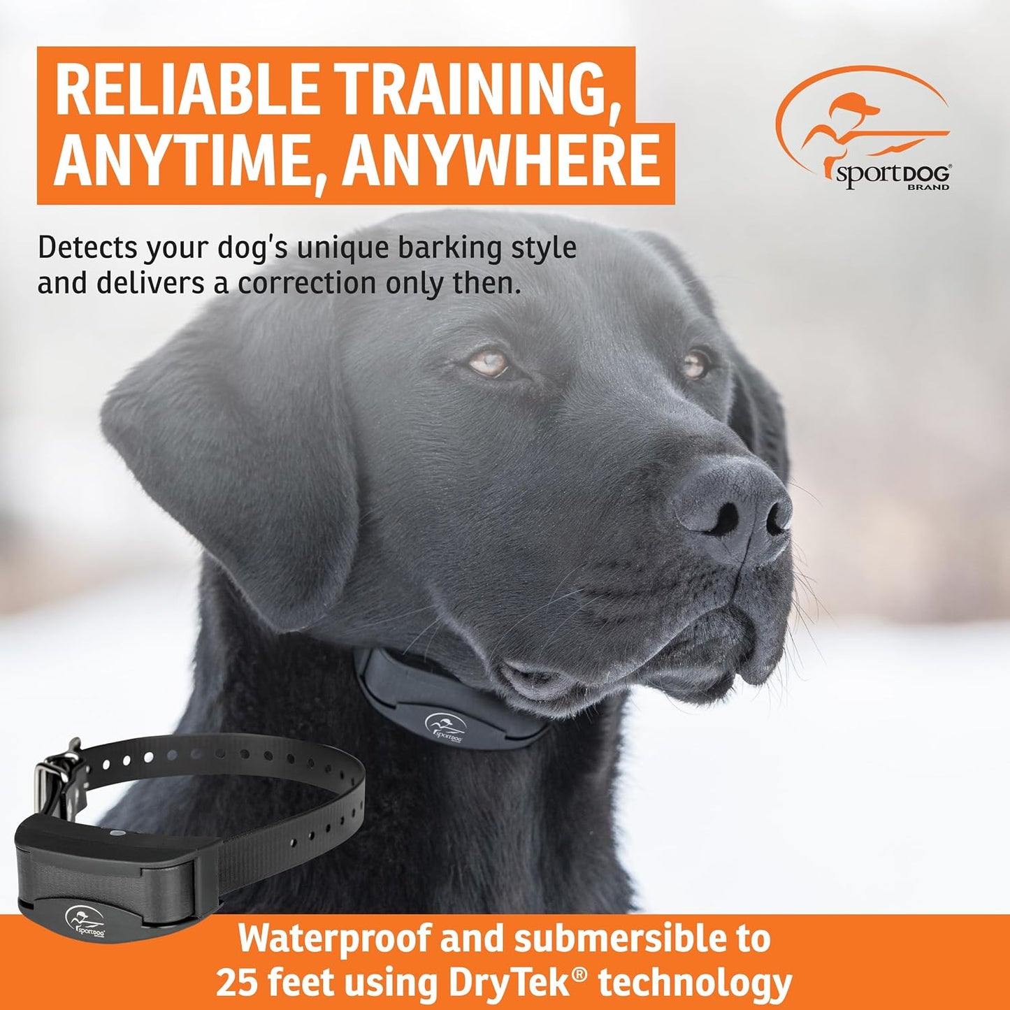 SportDog NoBark 10 rechargeable collar strap adjustment