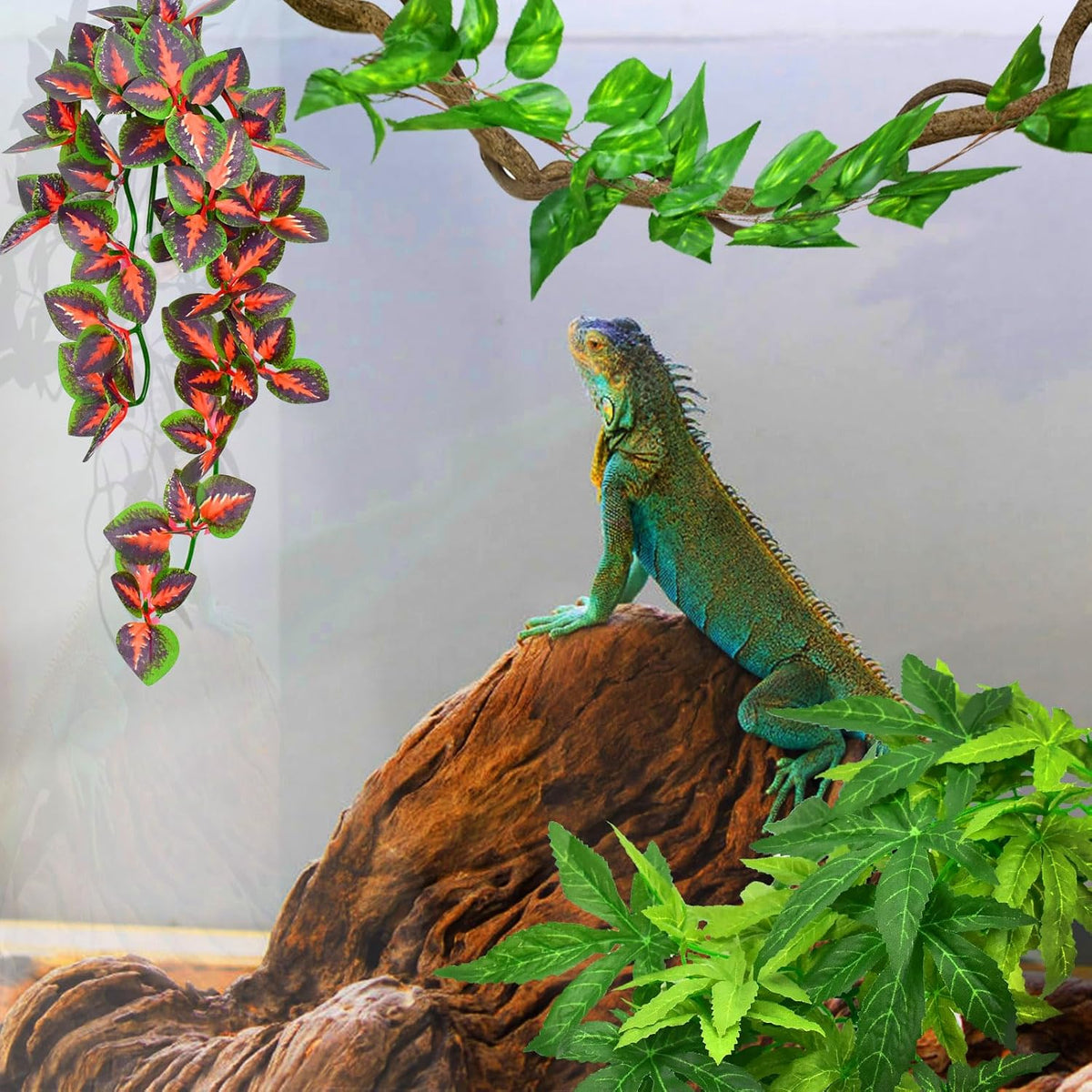 Suction cup attachment mechanism on Katumo hanging reptile decor