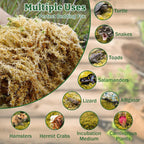 Natural forest bedding setup for pet snakes