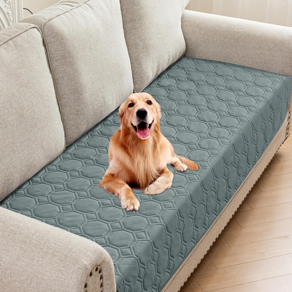 ZNSAYOTX Ultimate Cozy Dog Blanket front view protecting a dark grey fabric sofa from pet stains.
