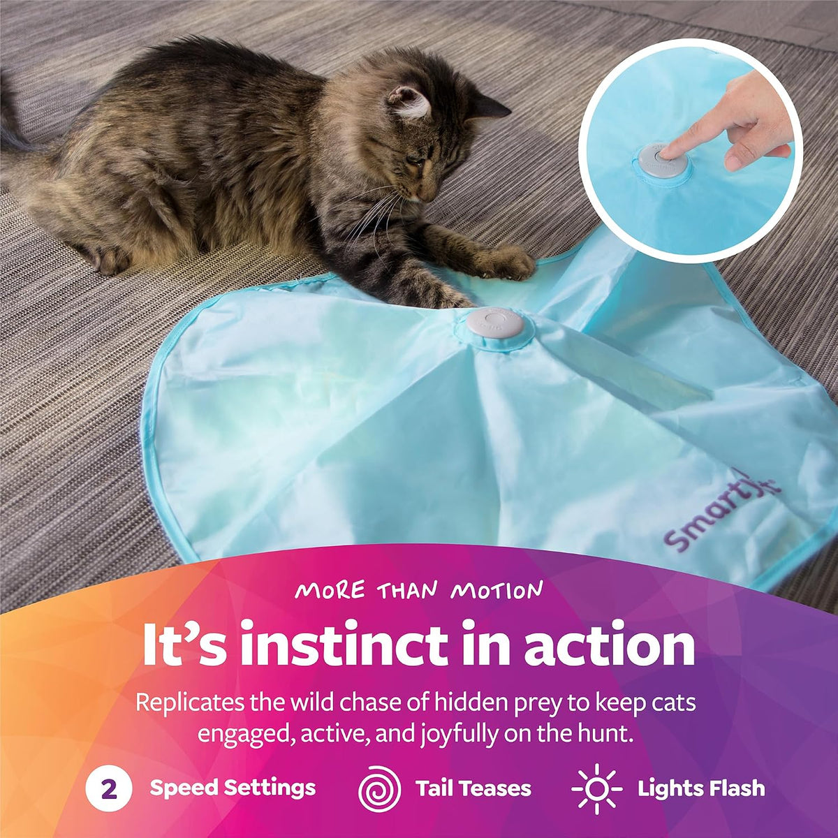 Close up of SmartyKat electronic cat toy motor base and speed control