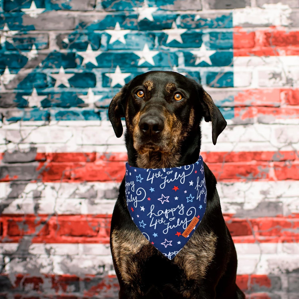ADOGGYGO patriotic pet scarf durable fabric material close up texture