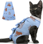 Packaging and product presentation of Pumyporeity cat recovery onesie