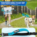 Blue medium Lukovee dual dog splitter showing heavy duty three hundred sixty degree swivel clasp.