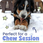 Rawhide free single ingredient three pack dog chews close up texture