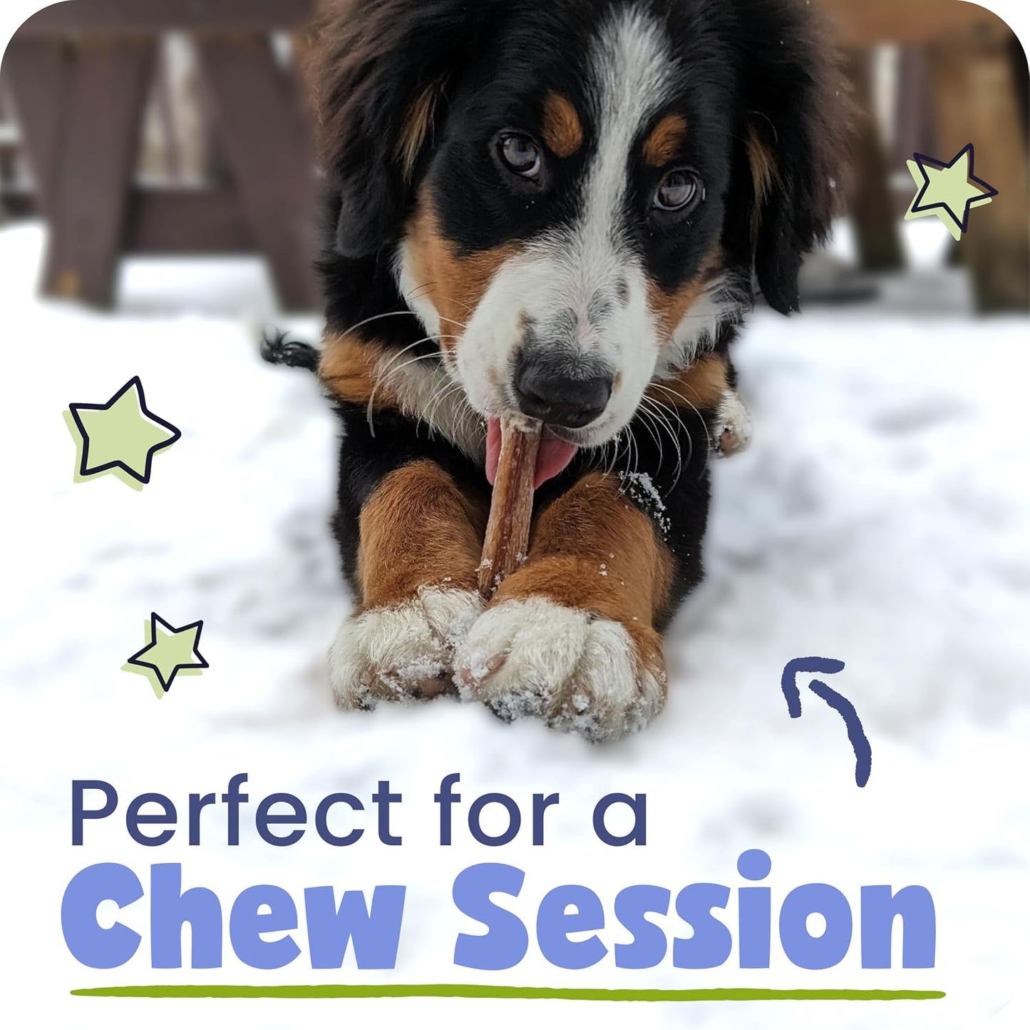 Pawstruck rawhide free beef dental bones for extra small and medium dogs
