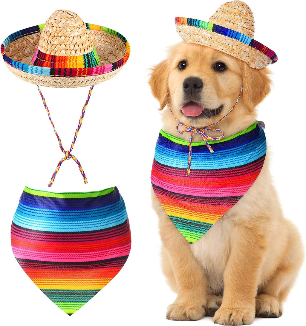 Saintrygo dog sombrero hat and bandana set front view