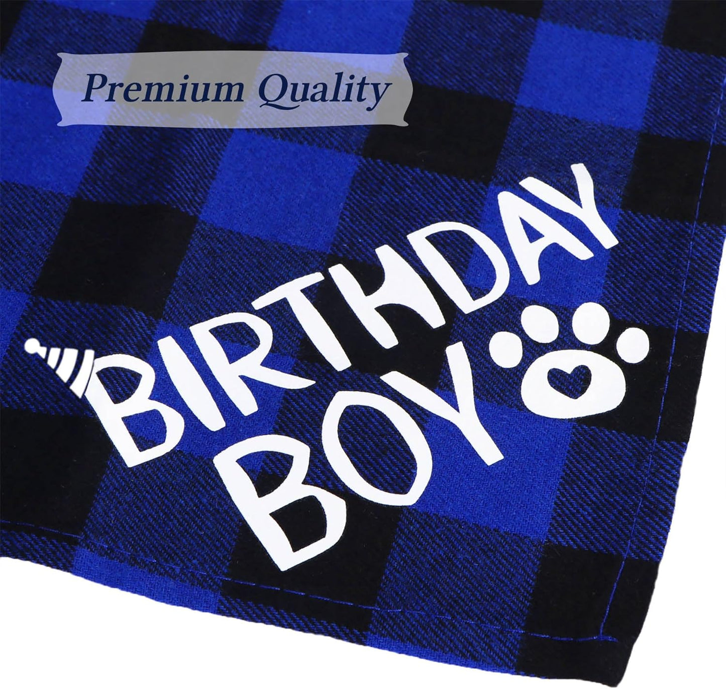 Small breed dog wearing imported STMK blue birthday outfit set.