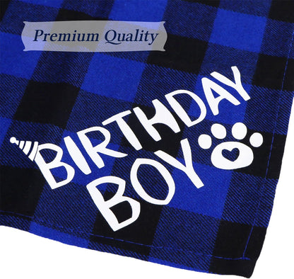 Small breed dog wearing imported STMK blue birthday outfit set.