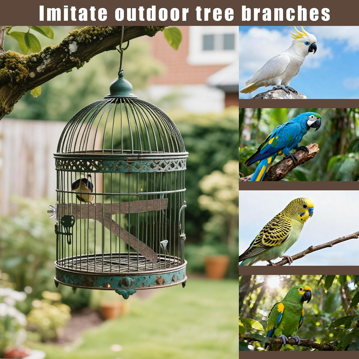 6 PCS Bird Perch Set - Image 9