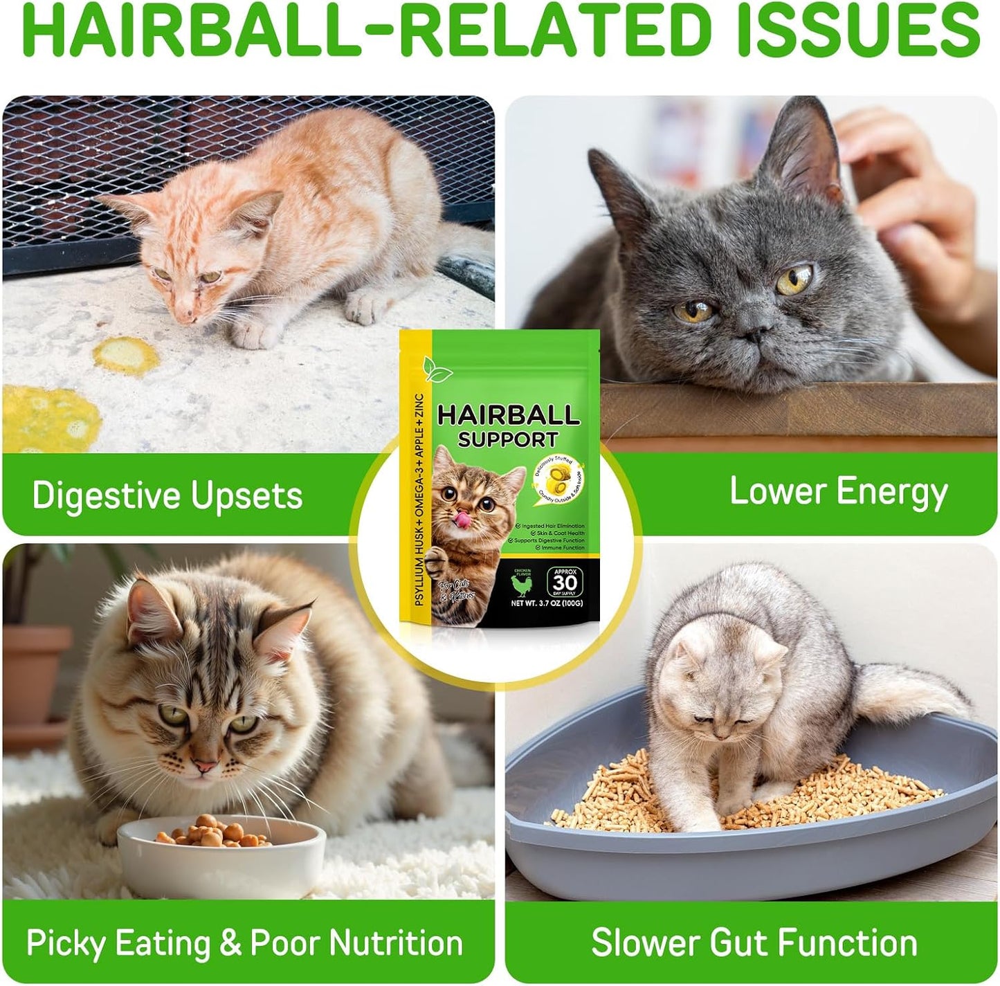 Authentic ReliCo skin and coat health cat chews in original container.