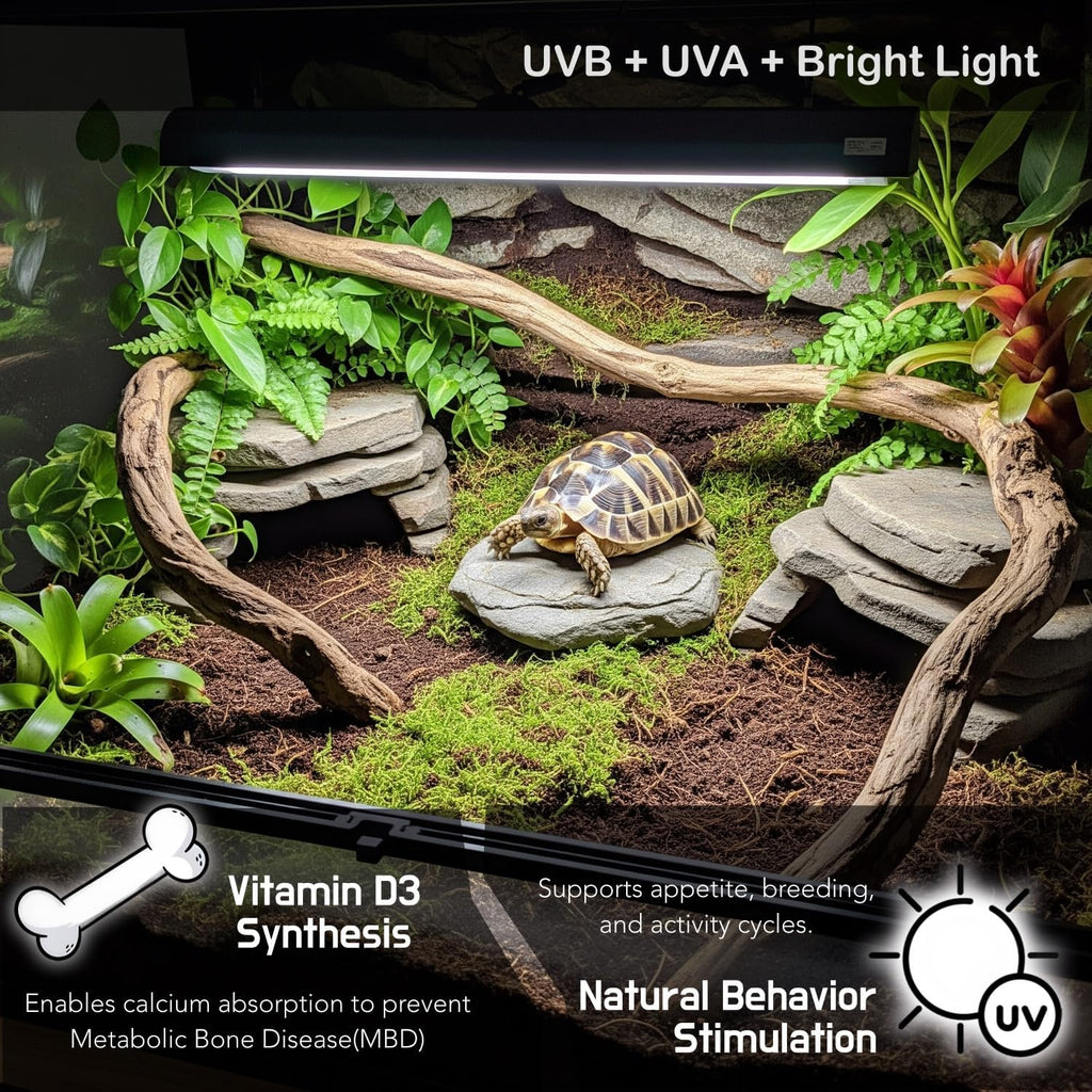 ReptiKing 12 inch desert reptile lighting setup for terrarium enclosure