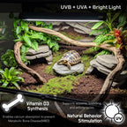 ReptiKing 12 inch desert reptile lighting setup for terrarium enclosure