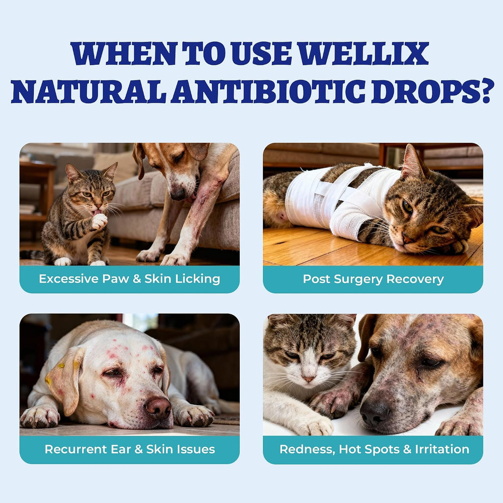 Wellix chicken flavored cat cold relief supplement label view