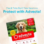 Advecta Ultra imported large dog flea protection box side view