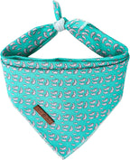 Small breed puppy wearing the lightweight and breathable Lionet Paws fourth of july triangle bandana.