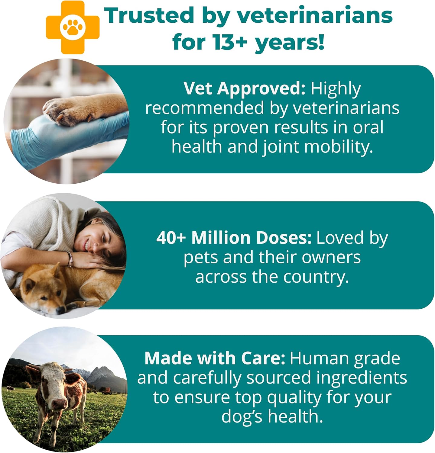 Premium USA imported 1-TDC worksSOwell arthritis pain relief supplement for pets