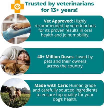 Premium USA imported 1-TDC worksSOwell arthritis pain relief supplement for pets